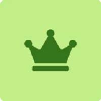 سطح همراهی VIP